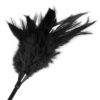 Bondara Bondara Raven Feather Tickler - 17 Inch Black Floggers, Whips & Ticklers