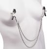 Bondara In A Pinch Stainless Steel Double Chain Nipple Clamps Silver Nipple Toys & Clit Toys